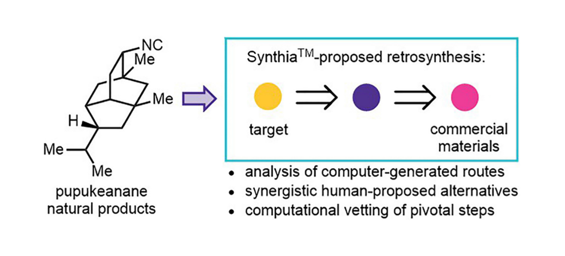 Blog-Pupukeanane-2022Q3 SYTNHIA planned synthesis of pupukeanane from commercial materials